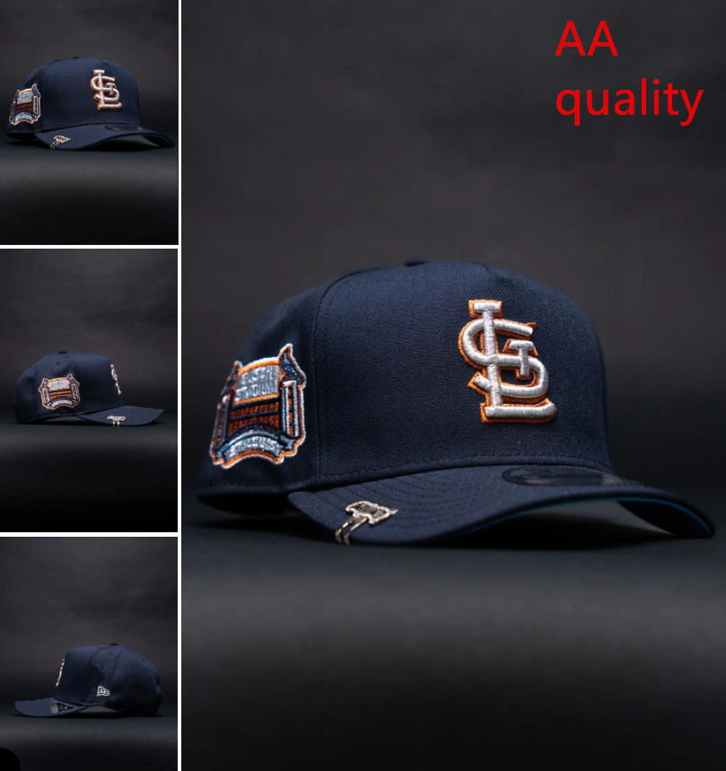 2026 New Hat 73bc715d1009->nfl hats->Sports Caps